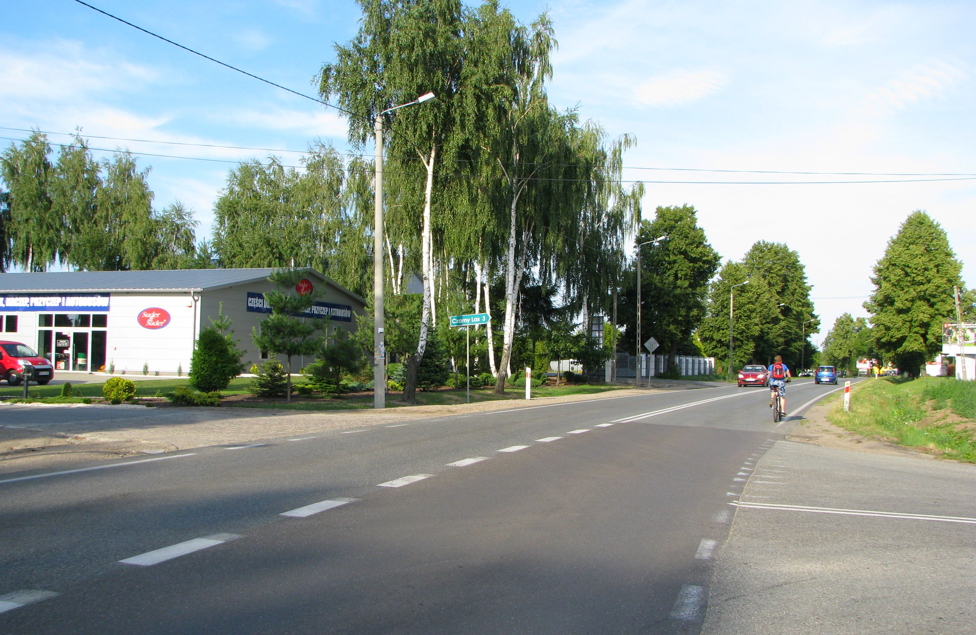 pieluchy jednorazowe toruń haftte