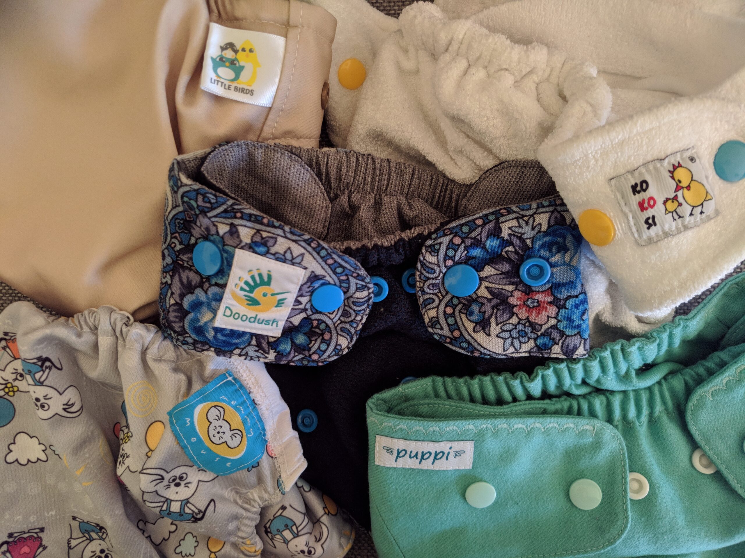 pampers preemie protection p1 gdzie kupić