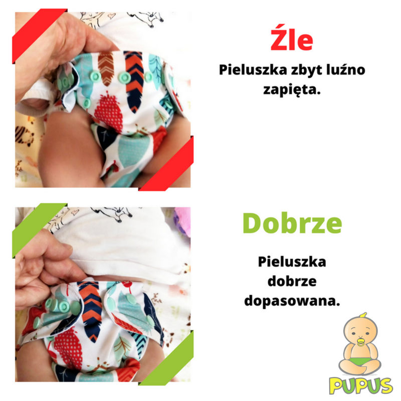 chusteczki nawilżane dla psa