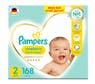 pampers 4 giant box plus