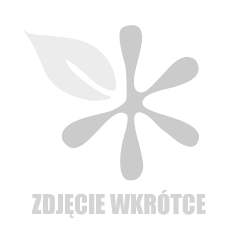 Zestaw kreatywny Djeco DJ09863