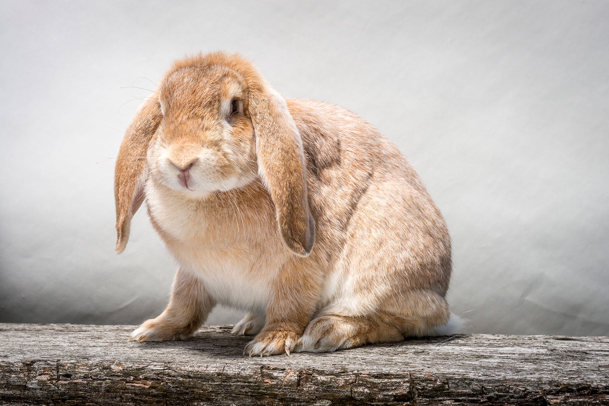 pieluchomajtki pampers najmniejsze