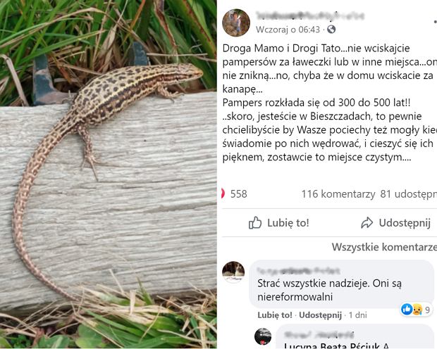 pieluchomajtki refundacja goleniów