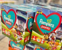 pampers premium care gazetka netto