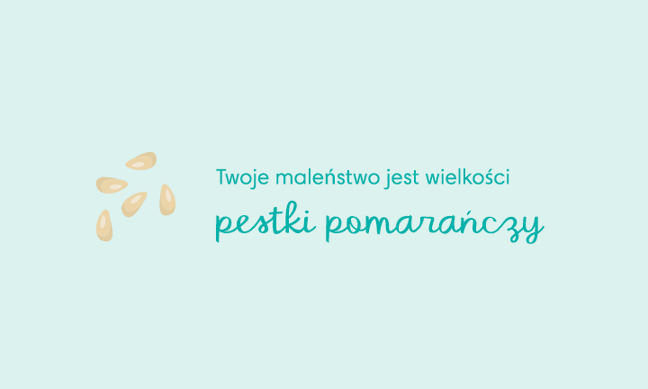 pieluchy tetrowe miedzno