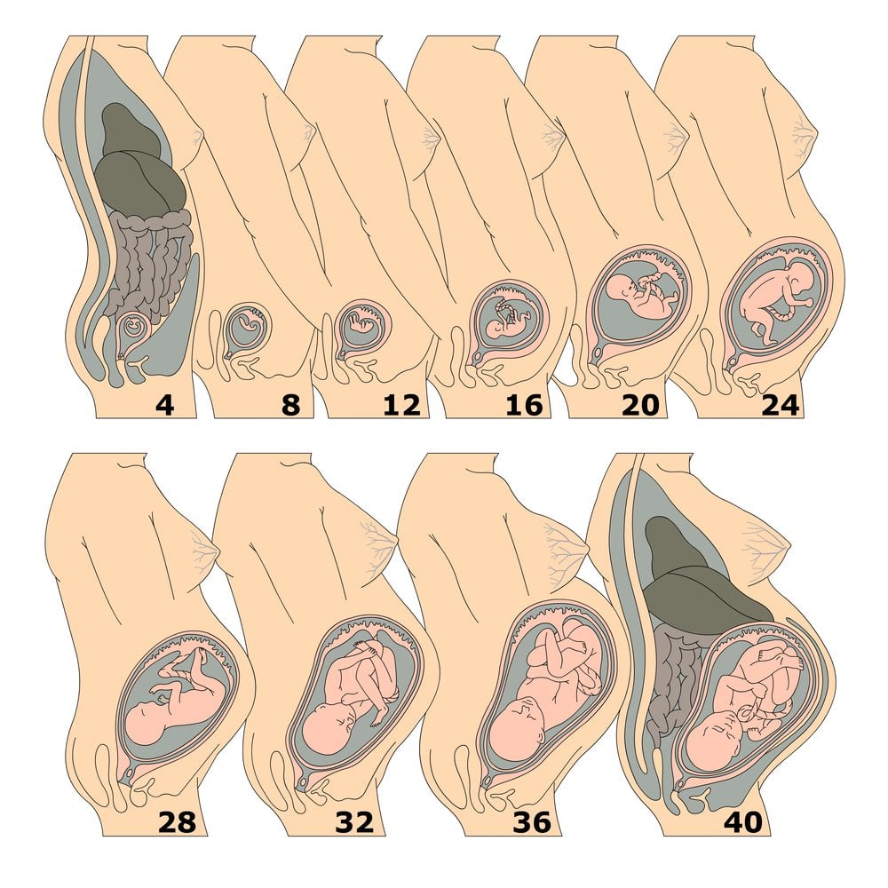 pampers pants giga pack 5