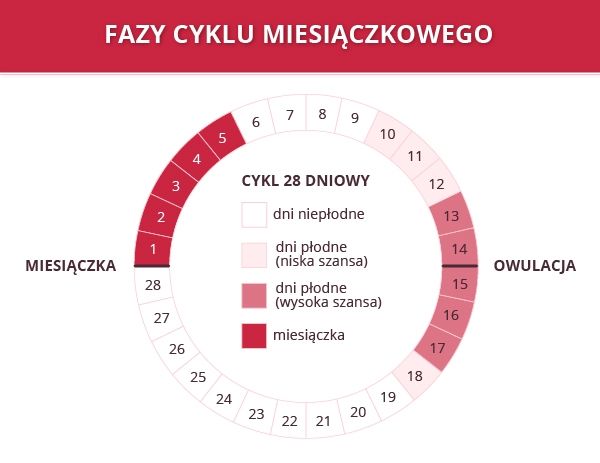 apteka aura kalisz pieluchy