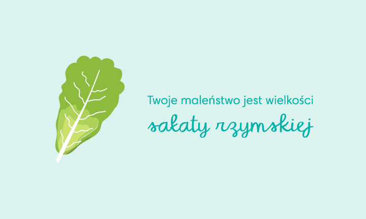 pudełko na woreczki na pieluchy